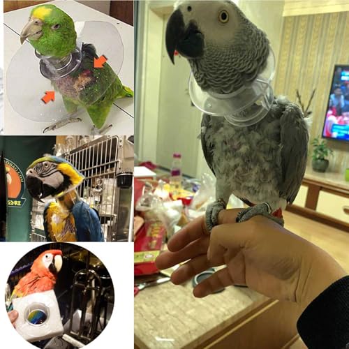 QBLEEV Parrot Anti-bite Collar, Anti-Grab Feather Lick Neck Collars | Stress-free recovery from injuries post-surgery, protective wound healing recovery collars fit lovebird macaws budgies - size: S