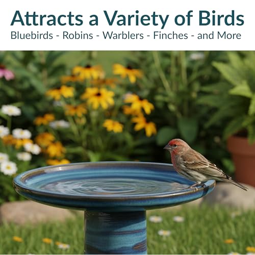 Sunnydaze Ceramic Bird Bath for Outside, Hand-Painted, 21” H, Galaxy Blue | UV & Frost-Resistant, 1 Gal Water Capacity, 2-Piece Assembly, Colorful Outdoor Accent, Outdoor Bird Bath, Ceramic Birdbath - color: Galaxy Blue