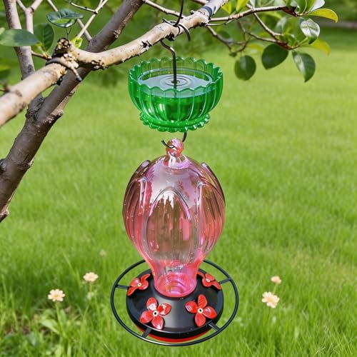 9oz Plastic Ant Moat for Hummingbird Feeder, Green Daisy Insect Guard | Stainless Hooks, Floral Buffer, Transparent Nectar Protector, Water Barrier Blocking Bugs, 9 Ounce/270ml Capacity - color: Green, size: 1PC/Pack