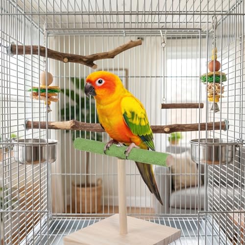 Bird Training Stand, Rough Surfaced Quartz Bird Perches | for Paw Grinding Clean Stick Exercise, Portable Tabletop Surfaced Parrot Parakeet Perches for Conure Macaws