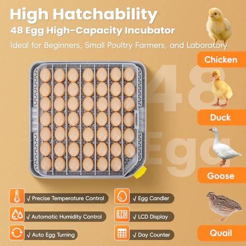 48 Incubators for Hatching Eggs, Egg Incubator with Automatic Egg Turning and Humidity Control, Temp Control, Egg Candler, Auto Water Refilling, Incubator for Chicken Eggs, Duck and Quail Eggs | Egg Candler, Egg Incubator for Chicken, Duck & Quail, Easy t