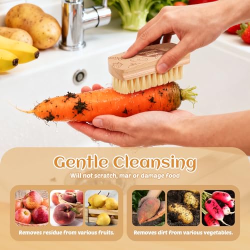 Vegetable and Fruit Cleaning Brush Scrubber Beechwood Handle Fruits Veggie Wash Brushes Potato Carrot Cucumber Mushrooms Washing Cleaner(Beige A, 1) - color: Beige a