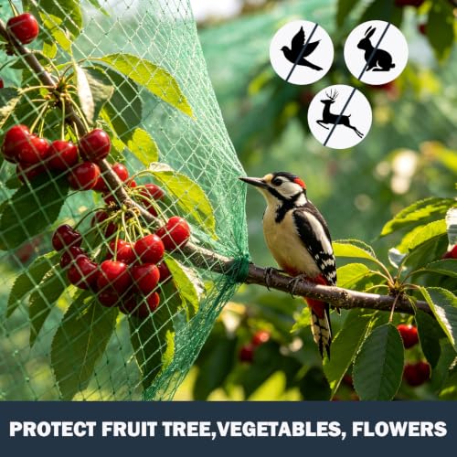 Jollybower Bird Netting for Garden 13x20ft, Plastic Trellis Netting to Protect Vegetable Plants & Fruit Trees, Reusable Garden Net Against Birds, Deer, Squirrels. - size: 13x20FT