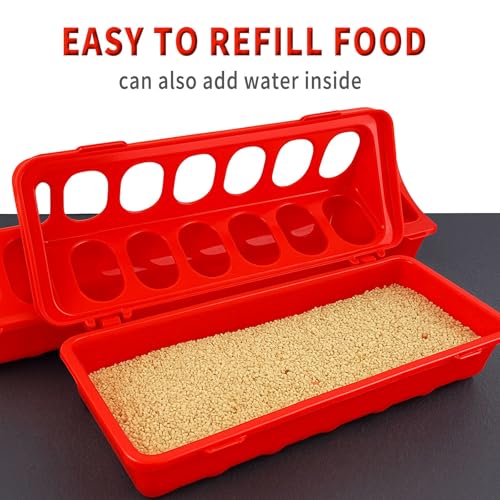 Oncpcare Poultry Feeder and Waterer Set, 4 Pack Chick Feeders and 2 Pack 3L Chicken Waterers Combo Kit | No Spill, Easy Fill Design for Baby Chicks, Ducklings, Quail, Pigeons, Small Poultry Brooder