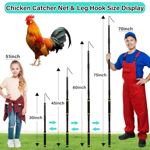 Chicken Catcher Net,30 to 75in Chicken Catcher Leg Hook Extra Long Handle Animal Catcher Pole Heavy Duty with Frosted Tube Extension Pole Poultry Hook Fowl Catcher (Black, 75in) - color: Black, size: 75"