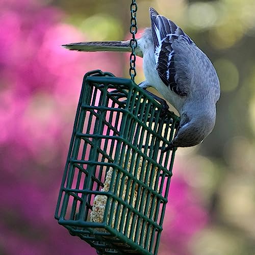 MEKKAPRO Suet Feeder Cage, Single Bird Feeder, Metal Chain, Outdoor | Single Capacity Suet Holder Recommended For Bird Feed, Ideal For Clinging Birds, Woodpeckers, And Nuthatches In Every Yard - size: Single