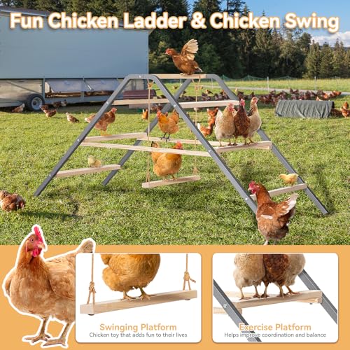 PETSFIT Chicken Perch, Solid Wood & Rustproof Iron Roosting Bar with Swing | Fits 10-12 Chickens, Promotes Natural Exercise, Easy to Assemble and Clean, Backyard Coops and Farms, All-Weather Outdoor Use - size: 62"Lx24"Wx28"H