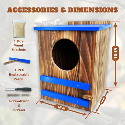 Screech Owl House for Outdoors,10"x10"x15" Large Carbonized Wood Barred Owl Nesting Box, Weather-Resistant Bird House with Blue Roof, Ventilation & Replaceable Perch, Garden Wildlife Habitat Gift