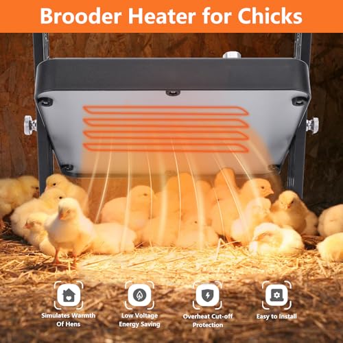 Chick Brooder Heater Plate, 10"x10" Brooder Plate for Chicks with Adjustable Temperature and Height, Brooder Heating Plate for Up to 15 Chicks
