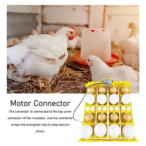 Automatic Egg Turning Tray for Incubator Multifunction Egg Hatcher Tray for 16 Duck Eggs 72 Quail Eggs, for Egg Incubation and Hatching (AC110V) - size: AC110V, style: AC110V