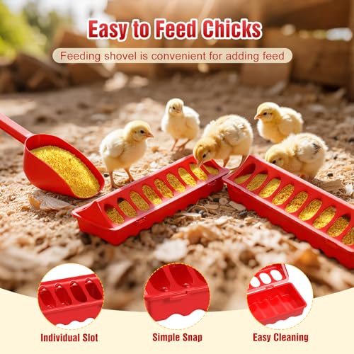 Pawaboo 7-in-1 Chicken Brooder Box Chick Starter Kit, Red + Wood Color | Includes Chicks Perches, Chicken Feeders, Chick Waterers, Chickens Feeding Spoon, Chicks Supplies (Brooder Set) - color: Red + Wood Color
