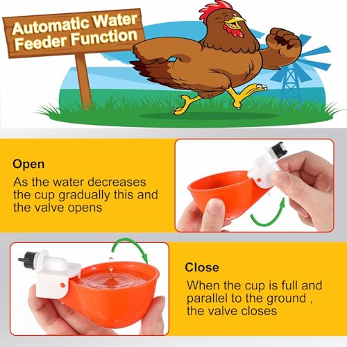 Tanlade 50 Packs Chicken Waterer Cups Large Chicken Feeder, Automatic Waterer Cups Kit for Poultry Chicks Duck Goose Turkey Bunny(Orange) - color: Orange