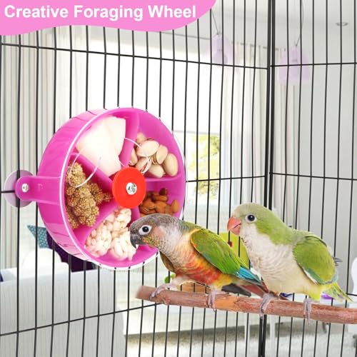 Bird Creative Foraging System Wheel Seed Food Ball Rotate Training Toy for Small and Medium Parrots Parakeet Cockatiel Conure (Purple) - color: Purple