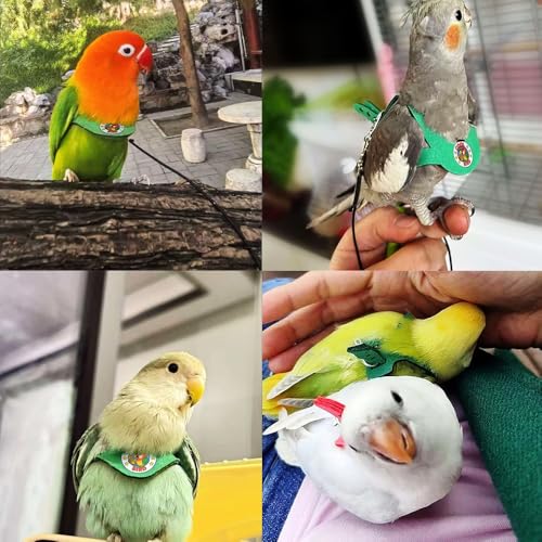 Adjustable Bird Harness & Leash Set for Small Birds,FitsBudgie,Parakeets, Conures, Cockatiels,Green Cheek,Quaker Parrots(Green, XS) 6350-6 - color: Green, size: XS,for Lovebirds and similar size