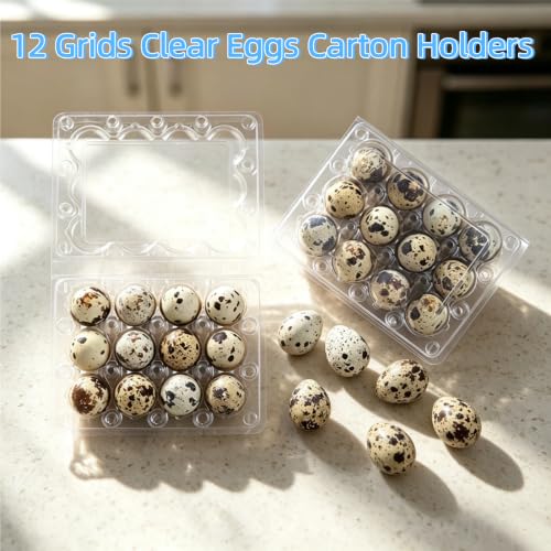 60Pcs Quail Egg Cartons,Square Dozen Egg Boxes 12 Grids Clear Plastic Quail Egg Cartons Stackable Trays for Quail Eggs, Pigeon Eggs, Small Poultry, for Home Fridge Storage, Farm, Market