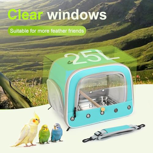 Bird Travel Carrier Cage for Medium Parrot, Portable Bag with Metal Tray to Carry and Transport Medium and Large Birds Like African Grey, Long Tail Cockatiel (Green, Large Carrier) - color: Green