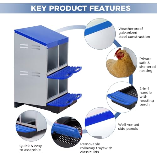  Chicken Nesting Box with Cleanable Pull Out Trays, 4 Hole Roll Away Nesting Box for Laying Hens, Wall Mount or Placed Design for Easy Egg Collection ﻿ - color: Blue, size: 4 Holes & 2-tier