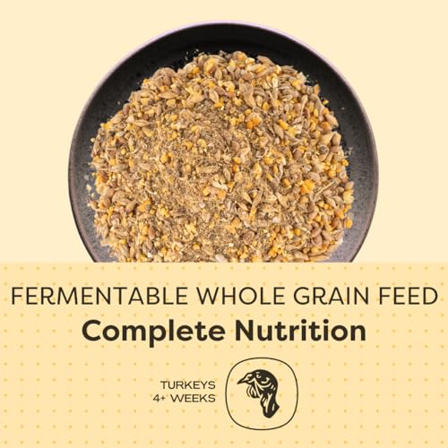 Scratch and Peck Feeds | Grower Mash + Corn for Turkeys | 40 lb Bag | 20.5% Protein, Soy Free, Fermentable Whole Grains, Certified Organic & Non-GMO Project Verified, Complete Nutrition
