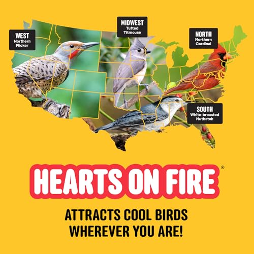 Cool Birds Hearts on Fire Hot Bird Seed, 10 lb | 100% Hulled Sunflower Hearts with Chili Pepper Oil – No Waste Bird Seed for Outside Feeders