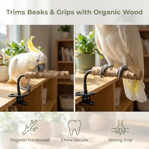 Natural Wood Parrot Perch, Adjustable Clip-On Bird Stand, Flexible Gooseneck Sticks for Conures Cockatiels Lovebirds, Pet Cage Accessories