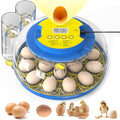 Cieex 18 Egg Incubator for Hatching Chicken, Quails, Ducks, Parrots, Geese with Automatic Egg Turning and Humidity Control, Blue & White ABS Terrarium Incubator