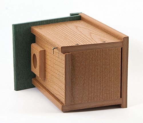 Going Green Bluebird House