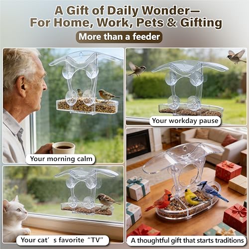 Window Bird Feeder with 5 Acrylic ID Cards - Clear Bird House for Outside with Removable Tray & Drain Holes - 4 Strong Suction Cups, Panoramic View for Wild Birds, Cat TV, Nature Gift