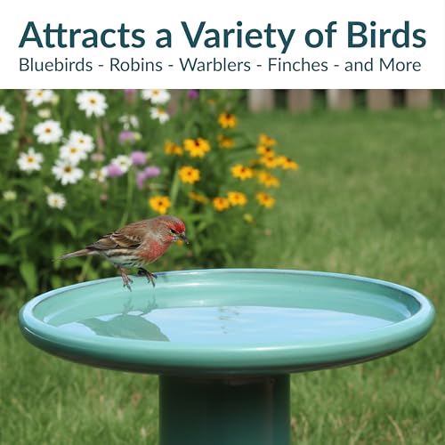 Sunnydaze Hand-Painted Ceramic Outdoor Bird Bath for Garden, 21” H, Seafoam | UV & Frost-Resistant Mineral Glazed Finish, 1 Gal Water Cap, Easy Assembly, Pedestal Bird Bath for Outside, Ceramic Birdbath