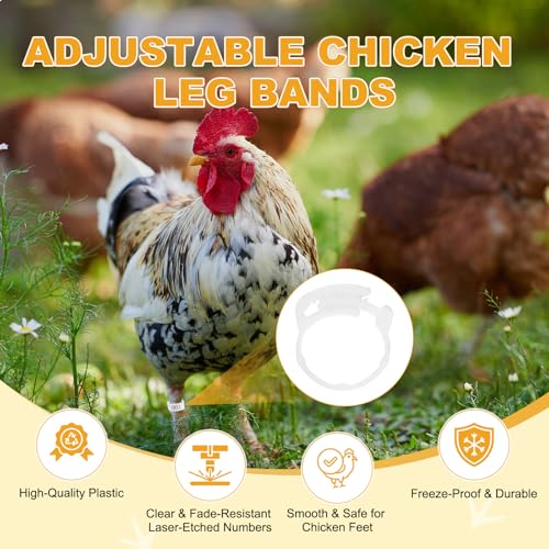 M METERXITY 50-Pack Adjustable Chickens Leg Bands, 17-22 mm Plastic Poultry Identification Chicken Leg Rings for Turkey/Duck/Goose/Chicks, Colorful Numbered Foot Clip on Tags [White] - color: White