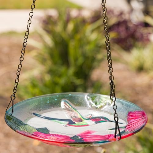 Alpine Corporation KBD150 Outdoor Hanging Glass Bird Feeder and Birdbath, Floral and Hummingbird Design with Chain, 10" W, Red/Green - style: Floral and Hummingbird