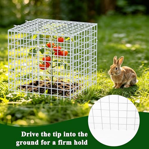 4Set 12"x12" Plant Protectors from Animals, All-Metal Plant Cage with Cover | Hot-Dip Galvanized Metal Wire, Heavy-duty Animal Barrier to Keep Rabbits, Birds Out of Tomato Flower