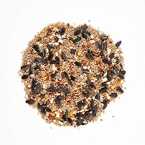 Wagner's 62011 Eastern Regional Blend Wild Bird Food, 8-Pound Bag - size: 8 Pound (Pack of 1)