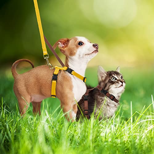 Outus 5 Pieces Adjustable Rabbit Harness and Leash Set Escape Proof Bunny Harness Vest for Pet Running Walk Jogging Bunny Cat Puppy Kitten Ferret and Other Small Pet(Vivid Color) - color: Vivid Color