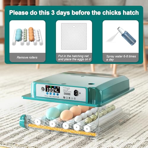 Egg Incubator for Hatching 16 Eggs|24 Quail Eggs, All-in-One Auto Incubator | Automatic Egg Turning, Precise Temperature Control, Stable Humidity Control, Adjustable Rollers for Duck, Goose, Pigeon Eggs