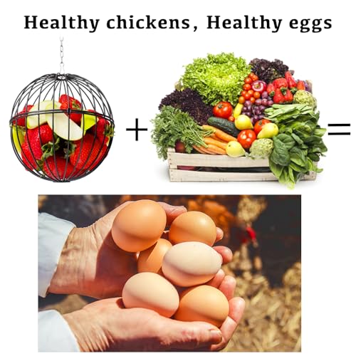 Hanging Chicken Feeder - 7.1 Inch Large Iron Chicken Veggie Treat Ball - Sturdy Chicken Treat Holder with 15.7 Inch Hanging Chain (2PCS Black) - color: 2PCS Black