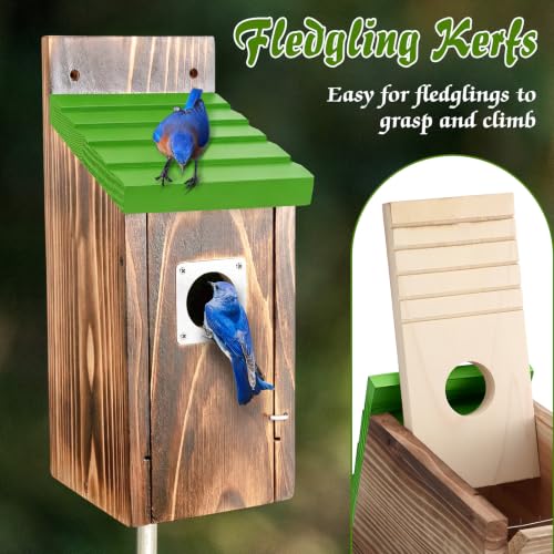 Dreyoo 2 Pack Bluebird Box Houses for Outside,1-1/2'' Entrance Hole Wooden Bird Houses with Metal Guard, Secure Latch,Fledgling Grooves,Air Vents for Bluebird Wren Swallow(Green Roof,Burnt Wood Body) - color: Green Roof,Burnt Wood Body