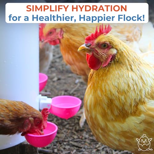 Lil'Clucker - Large Automatic Chicken Waterer Cups Suitable for Ducks, Geese, Turkeys, and Bunny Rabbit - Water Feeder Kit - Poultry Waterer (Pink, 5 Pack) - color: Pink, size: 5 Pack