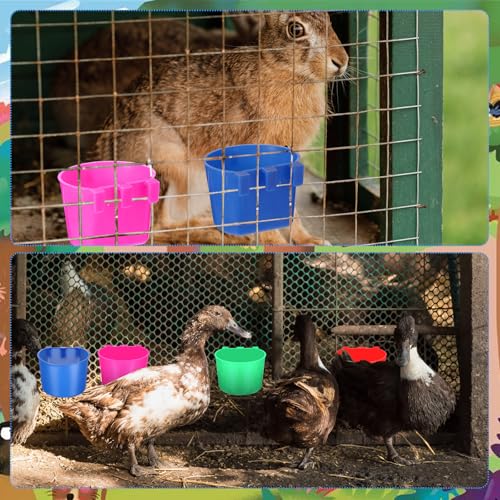 100 Pcs Cage Cups Chicken Feeder Cup 8 oz Hanging Bird Food Water Bowl Coop Bunny Cage Feeding Dish Game Fowl Supply for Poultry Pet Parrot Parakeet Rabbit Parakeet Pigeon(Blue, Red, Rose Red, Green) - color: Blue, Red, Rose Red, Green