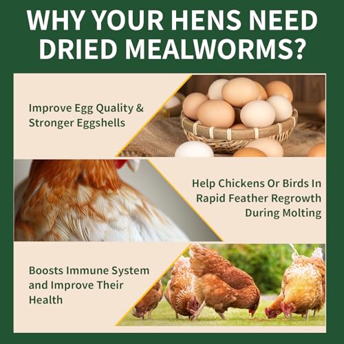 BUNTIE WORMS 5LB Dried Mealworms for Wild Birds and Chicken | High Protein Chicken Treats, 100% Natural Non-GMO Mealworms Chicken Feed for Bluebirds, Chickens, Ducks, Reptiles - size: 5 Pound (Pack of 1)