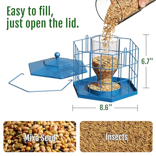 Birdream Squirrel Proof Bird Feeders for Outdoor Hanging, Metal Cage Bird Feeder with Rain Proof Covered for Wildbirds Bluebird Finches, Blue