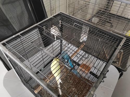 Small Bird Cage with Playground Stand - Spacious & Safe Design for Small Birds, Portable Bird Carrier with Handles and Play Top, Transparent Food Cup with Perch
