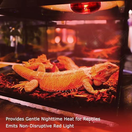 60W Infrared Red Reptile Heat Lamp Bulb, Basking Spot Light | Red Heat Emitter, Provides Gentle Heating for Reptiles, Bearded Dragons, Lizards, Snakes & Terrariums, E26 Base, 2-Pack - color: Red-infrared Heat Lamp, size: 60 Watts