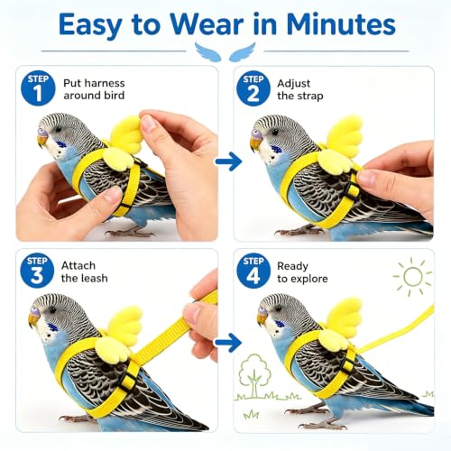 Pet Parrot Bird Harness and Leash, 2m Adjustable Polyester Rope with Cute Wing, Bird Flying Harness for Parrots, Pigeons, Budgerigars, Lovebirds, Cockatiels Outdoor Use - color: Yellow, size: L