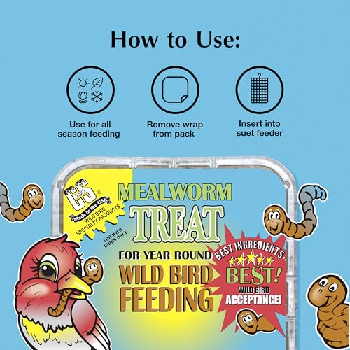 C&S Mealworm Treat Suet Treat, Suet Cakes for Wild Birds, Pack of 8 | Suet cakes for woodpeckers, made with real insects, use in a suet feeder year-round - style: Mealworm Treat, 8 Pack