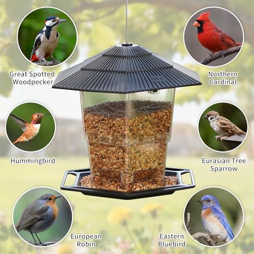 Bird Feeder for Outdoors Hanging,Hanging Wild Bird Feeders with S Hook for Blue Bird, Cardinals, Finches,Wild Birds Seed Feeder, As Gift for Bird Lovers（Black） - color: Black Bird Feeder