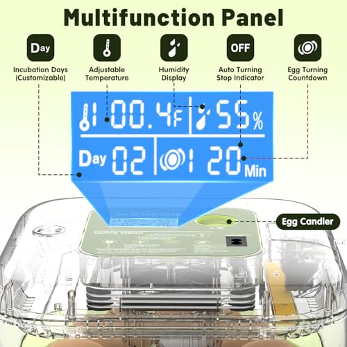 12 Egg Incubator with Automatic Egg Turning and Humidity Control, LED Egg Candling Light, Customized Incubation Days, Incubators for Hatching Eggs, Chicken Quail Parrot Pigeon Birds, Green - size: 12 eggs
