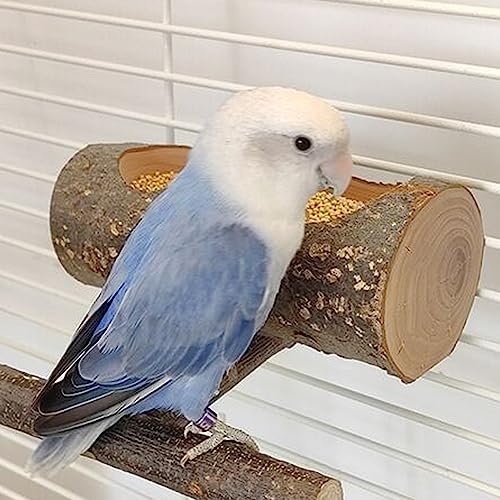 Apple Wood Feeding Bowl for Small Animals, Food Dish for Hamster, Guinea Pig, Chinchilla Rat Gerbils - color: Large Groove Bowl