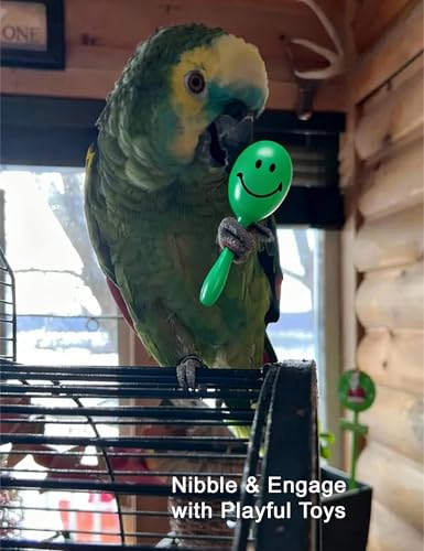 5-Pack Bird Toys for Parrots Cockatiels Budgies Canaries, Bell Rattan Balls | Bell Sound Stimulation, Rattan Chewing for Beak Health - size: 1.5'' - 2.8''