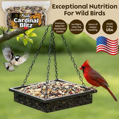 Cardinal Bird Seed, Sunflower Seeds, NutraSaff, Peanuts & Mealworms, 5lb | Premium No Filler Blend to Increase Wild Bird Activity, Attracts Cardinals & Various Songbirds to Backyard Feeders, USA Made