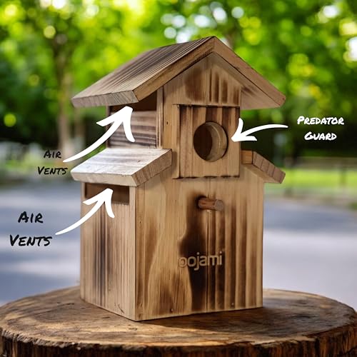 Bird House for Bluebird, Finch, Wren, Chickadee, Tree Swallow, Wild Birds, Woodpecker, Outdoor Nesting Box, Easy-to-Open (Brown) - style: Brown